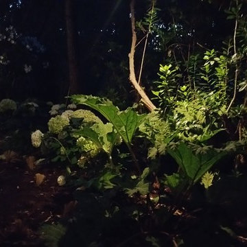 Jardin privé au Cap Ferret