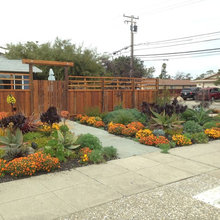drought garden
