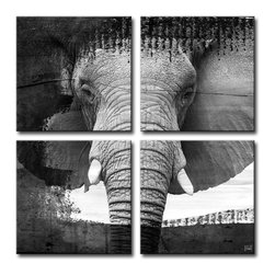 Ready2HangArt - "Saddle Ink Elephant VII" 4 Panels, 20"x20" - Prints And Posters