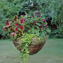 Fern and Green Rattan Basket Planter - Outdoor Products