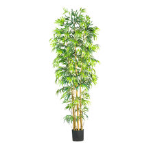 Trees