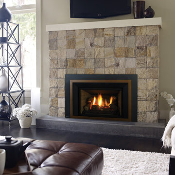 Gas Fireplace Inserts