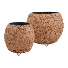 Plantars/Plants
