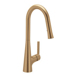 Ronan One-Handle Pulldown Kitchen Faucet with Swivel Control - Bronzed Gold - Kitchen Faucets