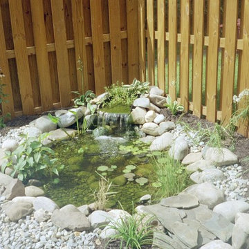 Ponds and Streams