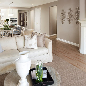 Arlington model home in Colorado