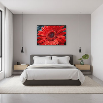 After the Rain Gerbera Daisy Photorealistic Contemporary Wall Art