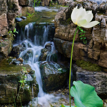 Weathered Limestone Falls