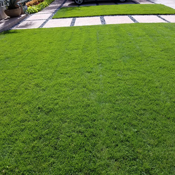 Our Work