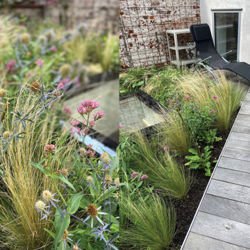 Toiture terrasse de 40m2 à Saint Gilles / Prairie fleurie