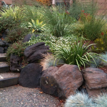 San Rafael Hillside renovation