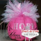 DeAnne Larson's photo