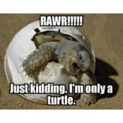 Frances Bast's photo