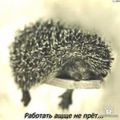 Foto von Михаил Стерлин