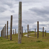 Andy B's photo
