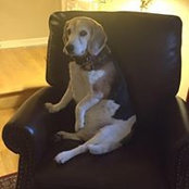 Nancy Francque's photo