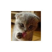 Foto von KaT Merrells