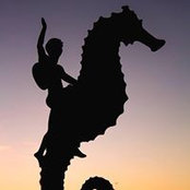 Julie Parsons Ledbetter's photo