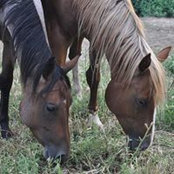 Jennifier Myers's photo