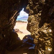 Hollie Strand's photo