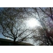 Michele Leblanc's photo