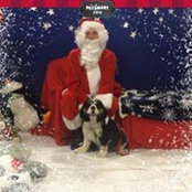 David Davis's photo