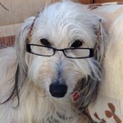 Ali Banyard's photo
