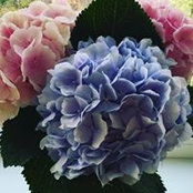Maria Lokteva's photo