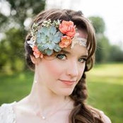 Julie Williams's photo