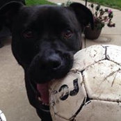Katrina Griffin's photo