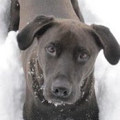 Caroline Freer's photo