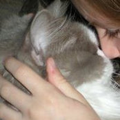 Tina Harclerode's photo