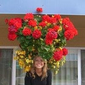 Csilla Balazs's photo