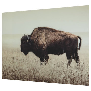 Bowery Hill Contemporary Wall Art of a Lone Bison in Sepia Finish