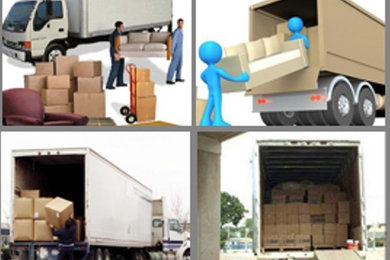 Packers And Movers in Noida
