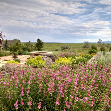 Plant Combinations