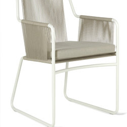 Roda Harp Dining Chair - Dining Chairs