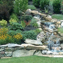 sharon_smith52's ideas