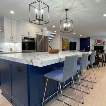 Full House Remodel in Vienna, VA