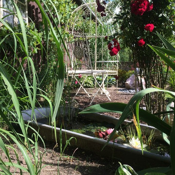 Unser Rosengarten