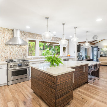 Aging in Place -Transitional Kitchen