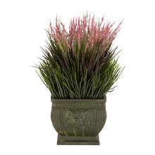 House plant
