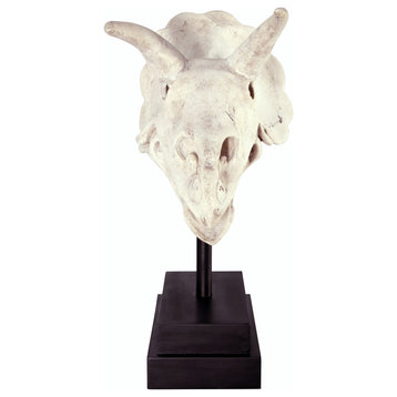 Triceratops Dinosaur Skull Fossil Statue With Museum Mount