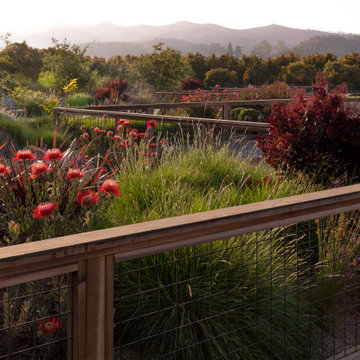 Santa Paula Garden