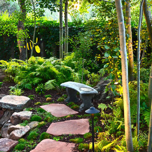 Hill Backyard | Houzz
