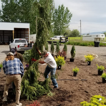 Landscaping