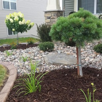 Low Maintenance Planting Bed in Savage