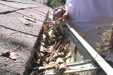 Gutter Cleaning Projects