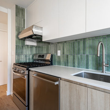 Full Apartment Renovation