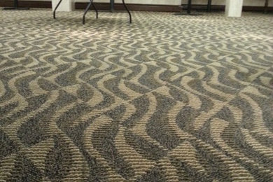 Commercial Carpet Cleaning Suffolk County, NY
